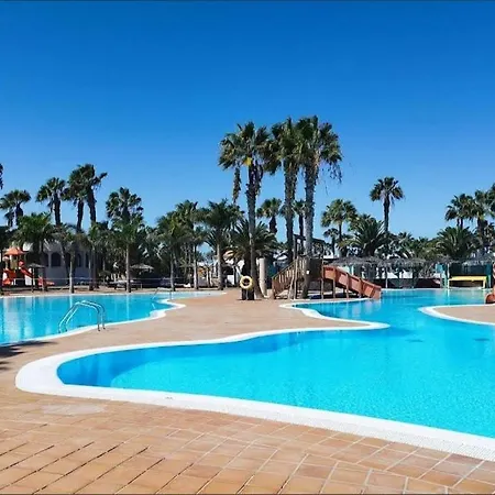 Oasis En